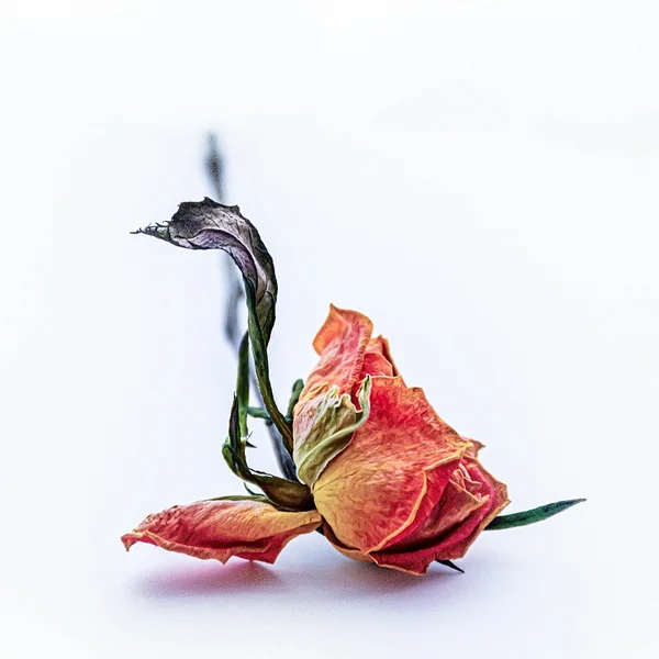 财神捕鱼棋牌游戏